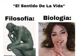 Enlace a El sentido de la vida