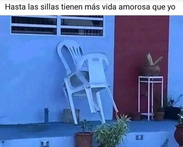 Meme_otros - Envidio a unas sillas