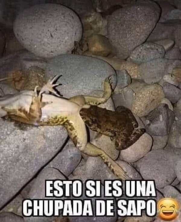 Meme_otros - Otros que tienen más vida amorosa que yo