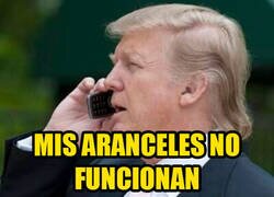 Enlace a Consejo de programador