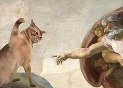 Enlace a Mi gato todo el tiempo