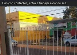 Enlace a El pato infiltrado