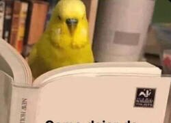 Enlace a Necesito ese libro