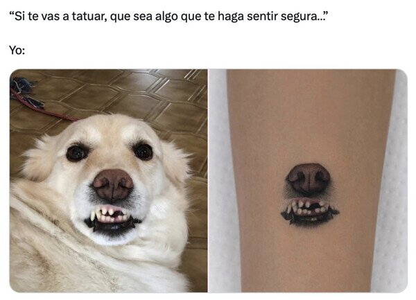 Otros - La sonrisa del Firulais
