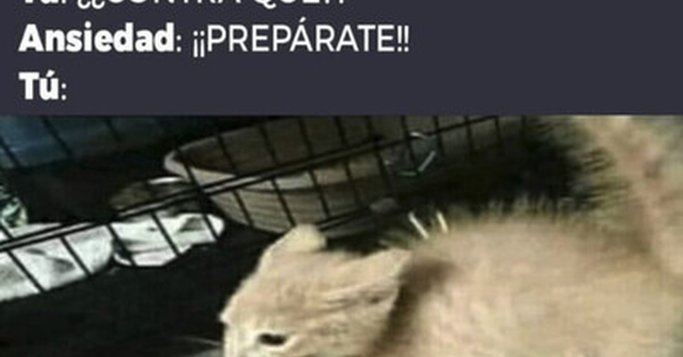 Tú prepárate