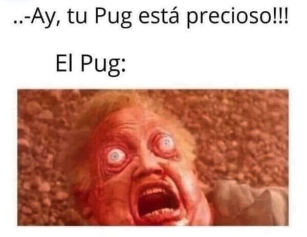 Otros - Esa es la cara que tienen