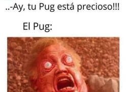 Enlace a Esa es la cara que tienen