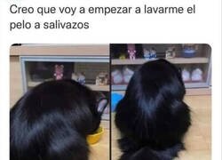 Enlace a El truco que usa mi perro