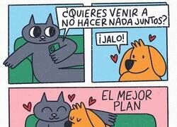 Enlace a A veces el mejor plan es no tener plan