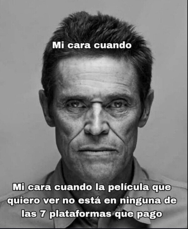 Meme_otros - ¿Cuántas plataformas hay que pagar?