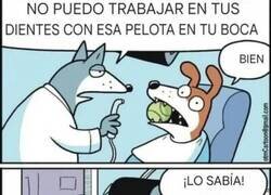 Enlace a Maldito dentista
