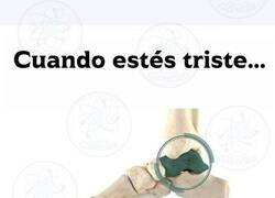 Enlace a Piensa en el astrálago