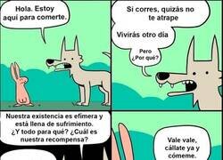 Enlace a El lobo filósofo
