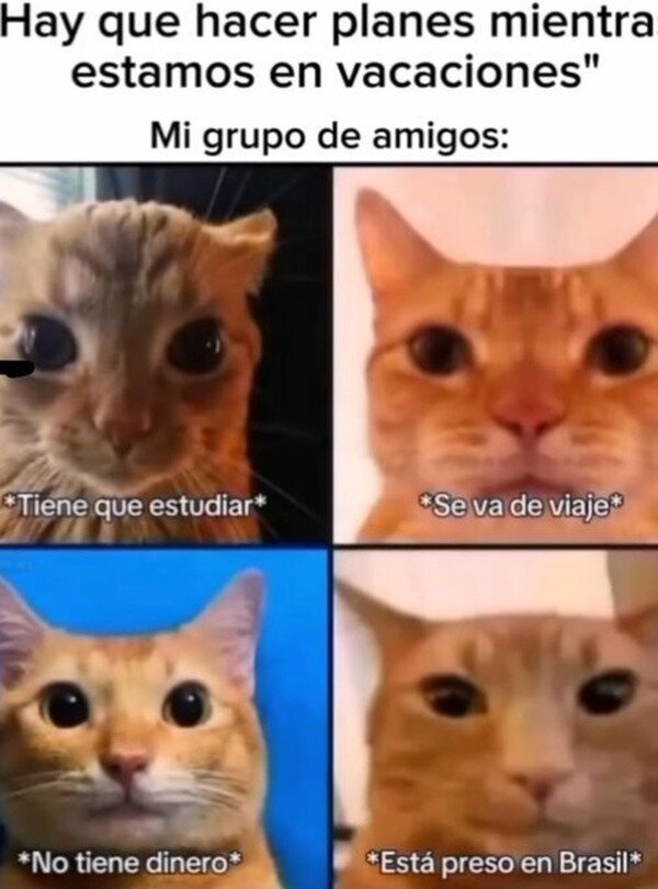 Meme_otros - Nunca puedo salir de vacaciones con mis amigos