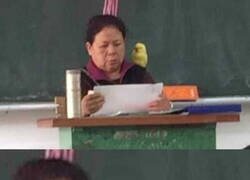 Enlace a El pajarito que le cuenta todo a las madres
