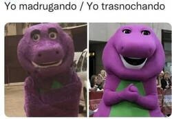 Enlace a Soy un animal nocturno