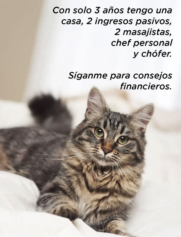 Meme_otros - El experto en finanzas