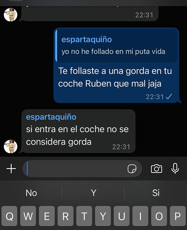 gorda,coche,entrar