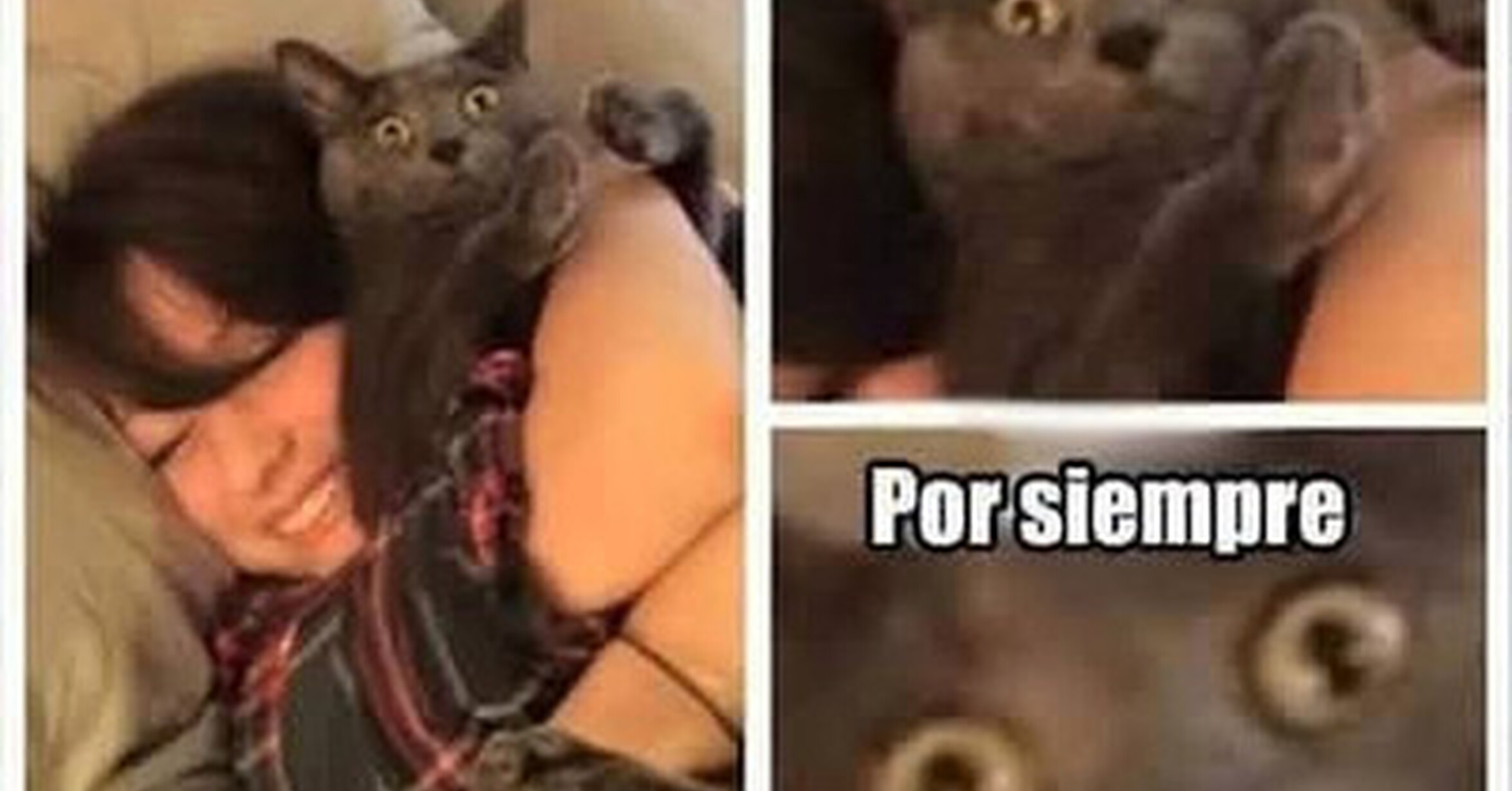 Que alguien lo saque de ahí