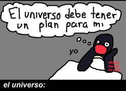 Enlace a El universo ni sabe que existes