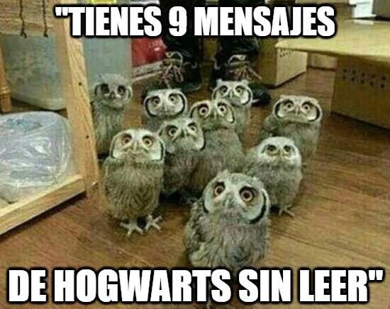 Meme_otros - Nueve y acumulando