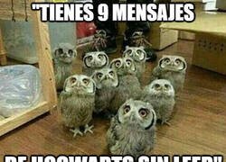 Enlace a Nueve y acumulando