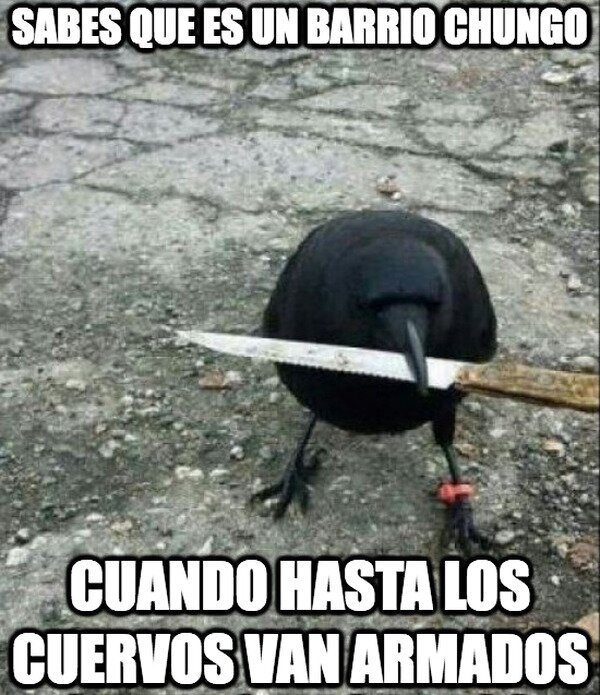 Meme_otros - Súper chungo