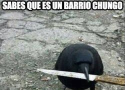 Enlace a Súper chungo