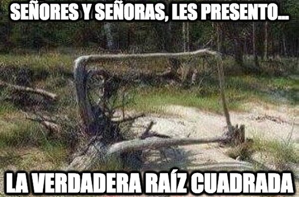 Meme_otros - Lo que pensábamos que era una raíz cuadrada de pequeños