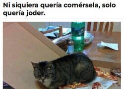 Enlace a Su único objetivo