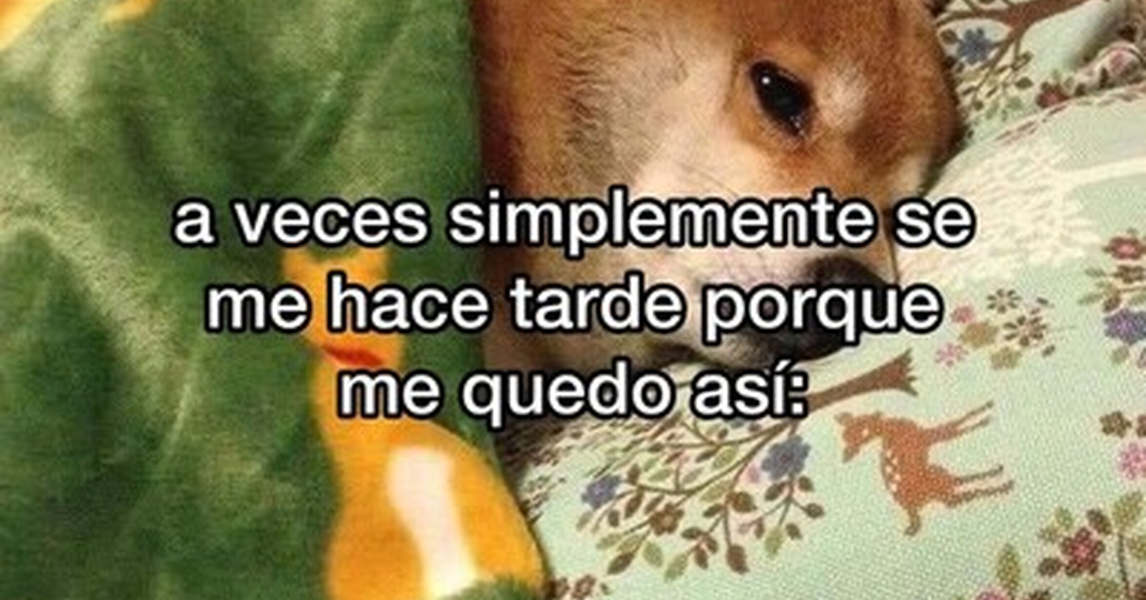 Lo reconozco