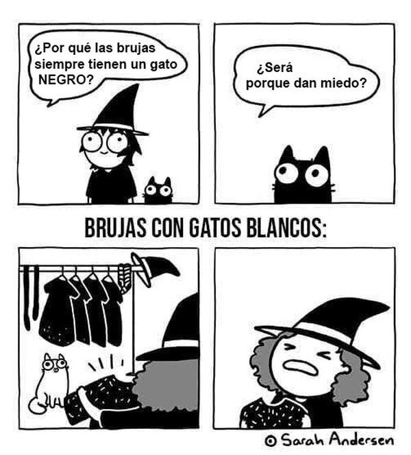 Meme_otros - No hay brujas con gatos blancos