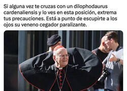 Enlace a Los dinosaurios siguen entre nosotros