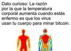 Enlace a ¿Sabías esto?