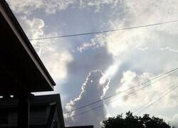 Enlace a ¿Godzilla, eres tú?