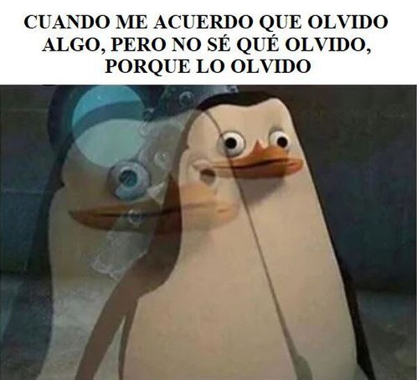 CC_2817494_0599882e08724ab7a9965b1d8cc53fc8_meme_otros_olvide_lo_que_habia_olvidado.jpg