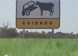 Enlace a Por algo pusieron ese cartel