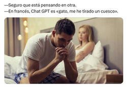 Enlace a El traductor me lo confirmó