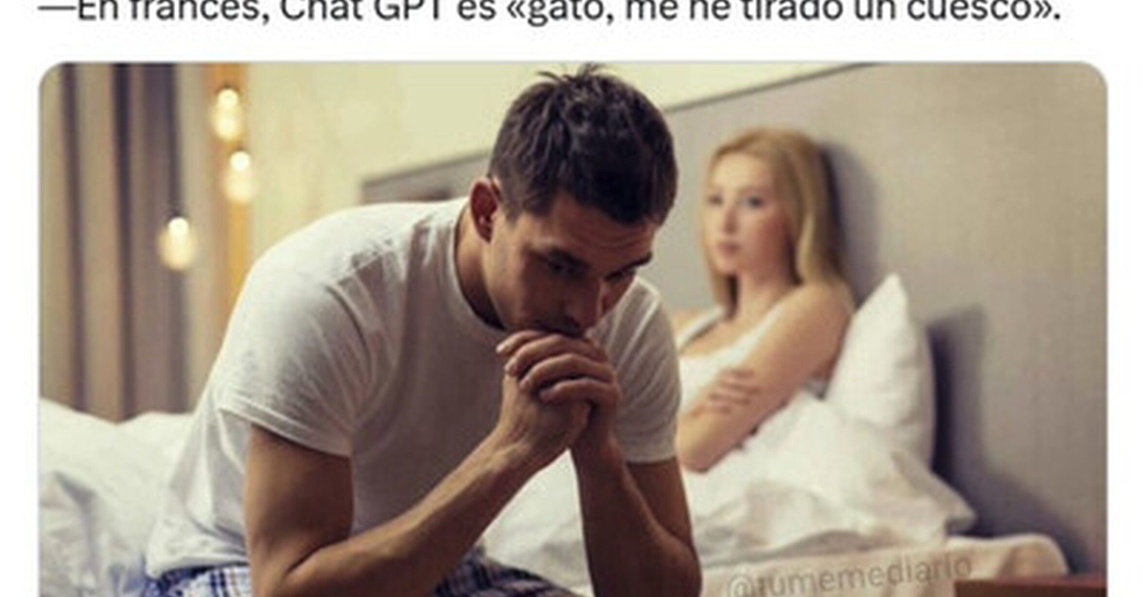 El traductor me lo confirmó