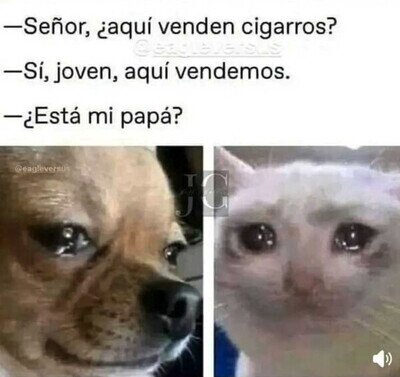 Mejor viñeta de ayer