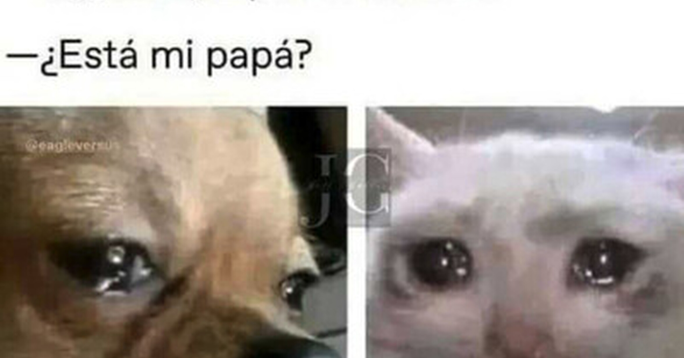 Sigo el rastro que dejó