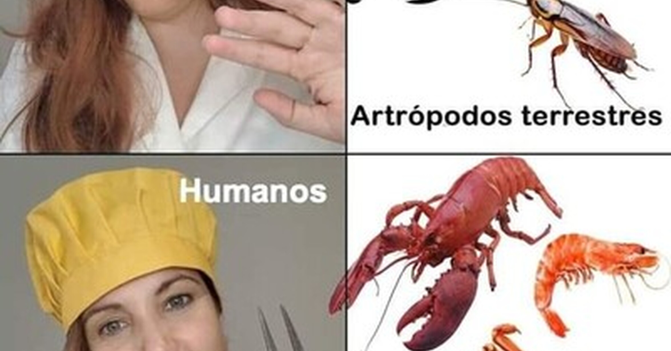 Los bichos del mar no nos dan asco