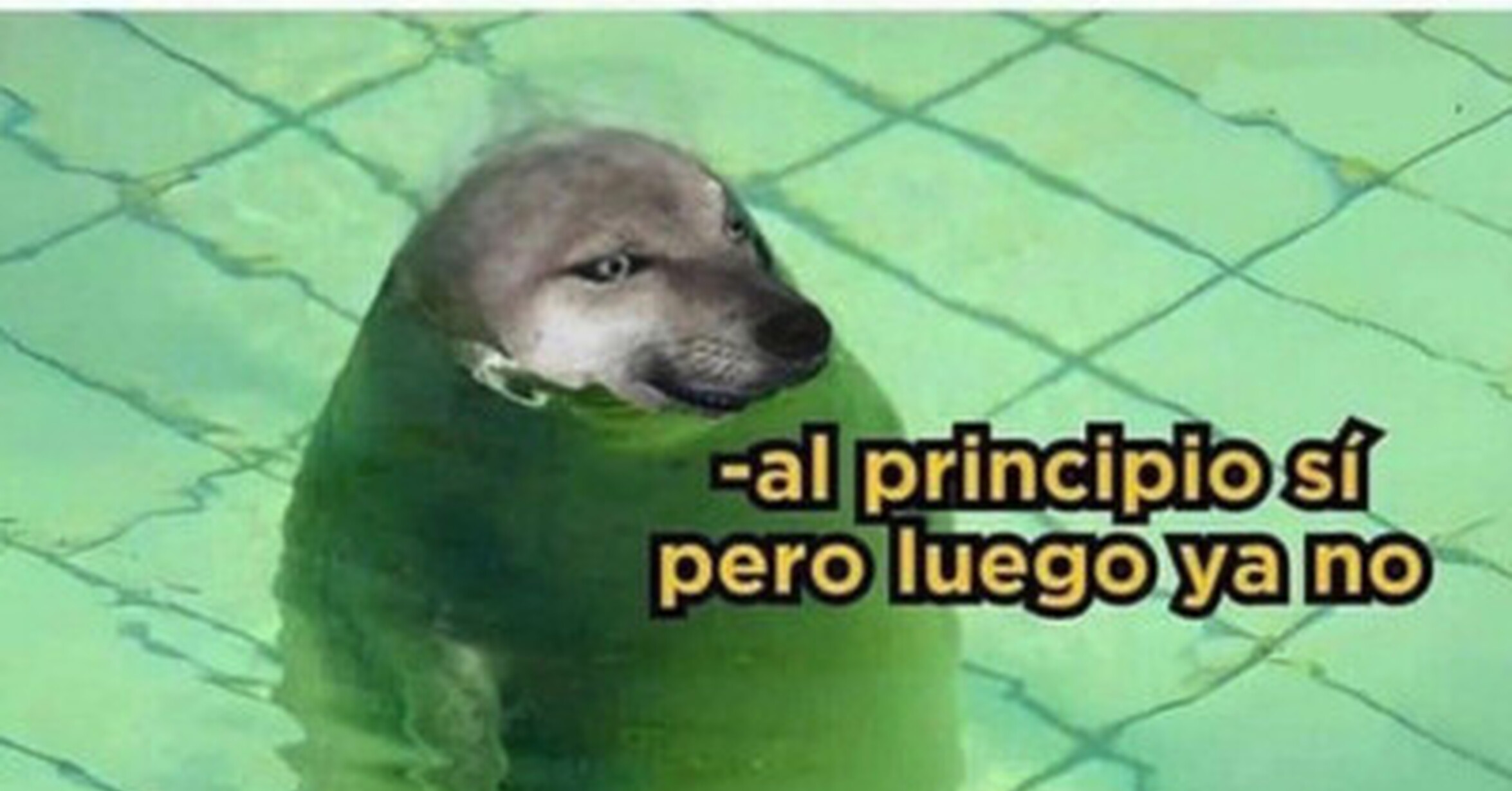 Primer baño del año