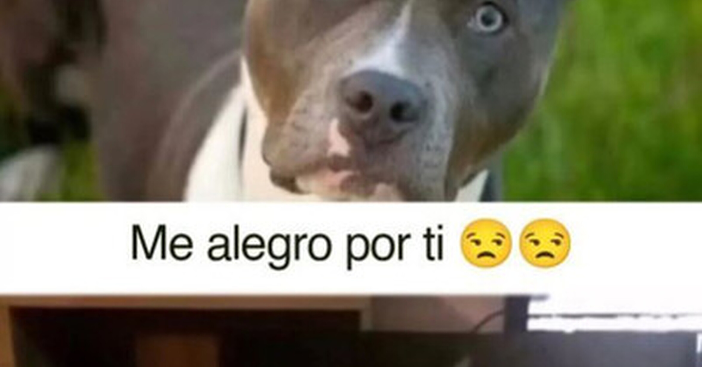 Existen marcas y marcas de nacimiento!!