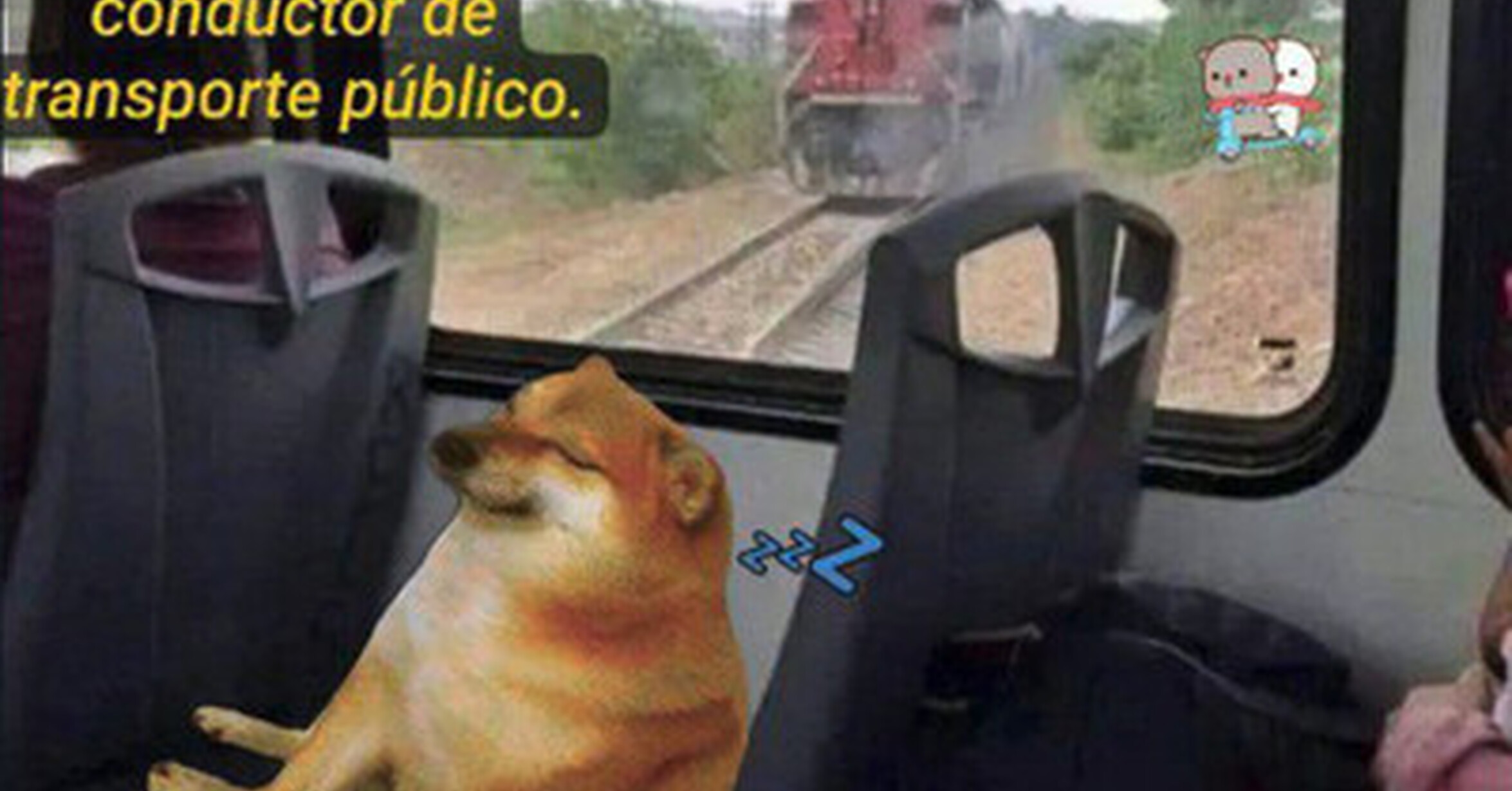 Confiando en un desconocido