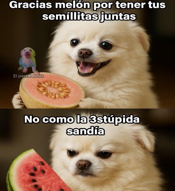 Meme_otros - Gracias melón