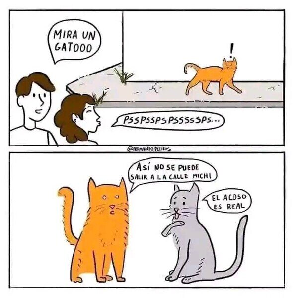 Meme_otros - Acoso callejero