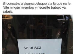 Enlace a Se busca peluquera completa
