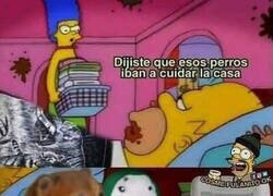 Enlace a Tengo que adoptarlos a todos