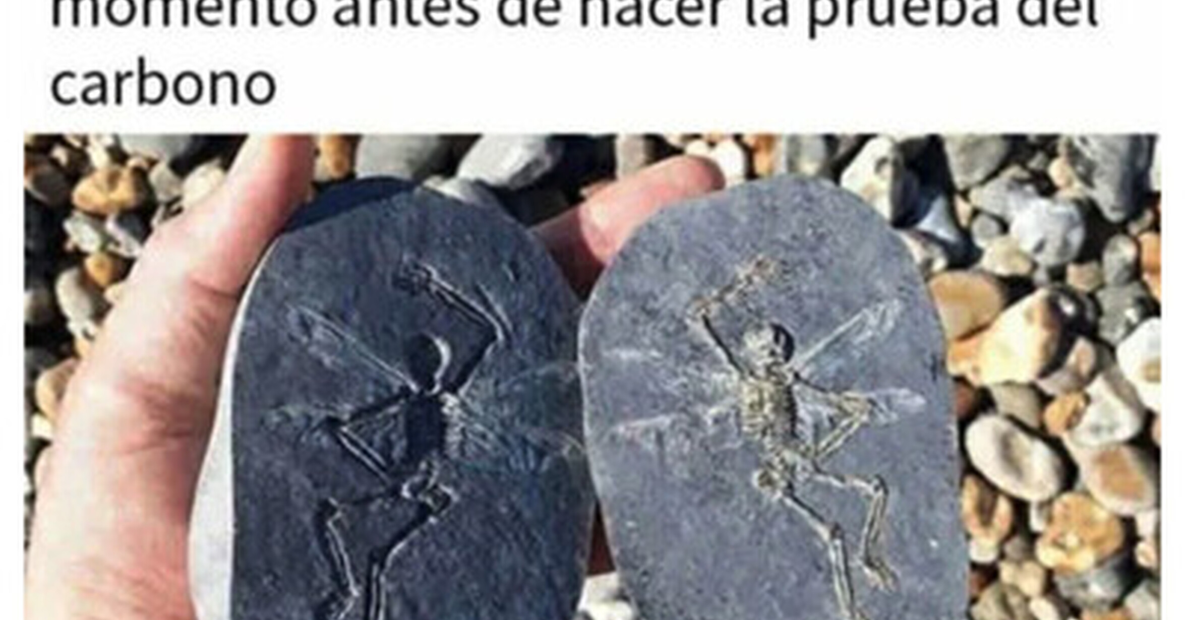 Por un momento se lo creerán